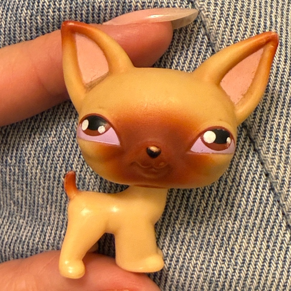 littlest pet shop # 1 chihuahua puppy dog with brown eyes 🤍🕊